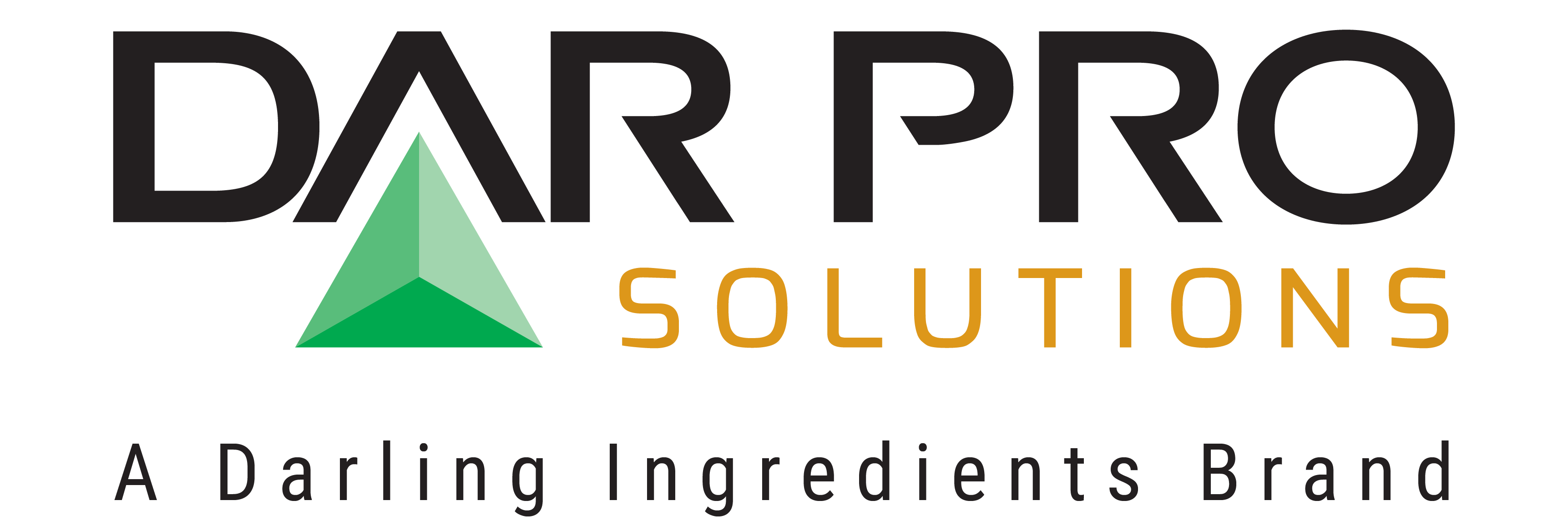 DAR PRO Solutions Logo